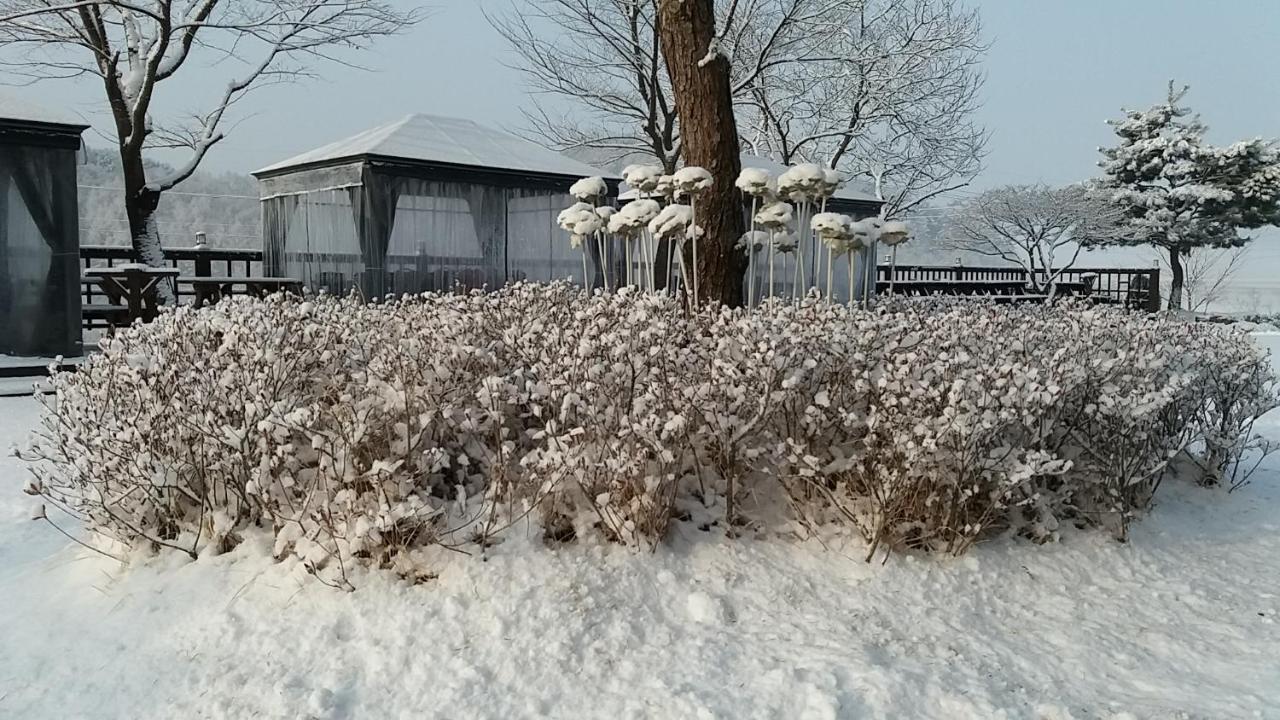 Forest Of Color Pension Hongcshon Kültér fotó